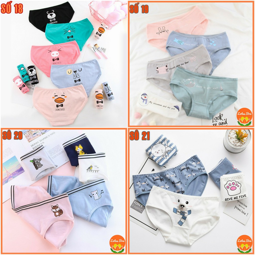 Set 5 Quần Lót Cotton Hoạ Tiết Gấu nhiều mẫu | BigBuy360 - bigbuy360.vn