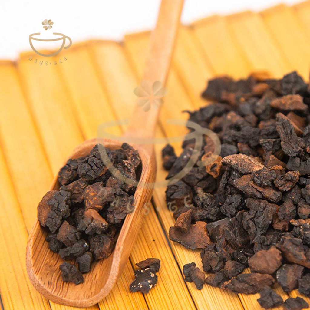 NẤM CHAGA 100G - HẠ ĐƯỜNG HUYẾT, GIẢM MỠ MÁU - Trà thảo mộc Daystea