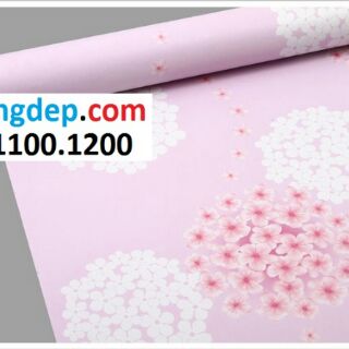 7m Giấy dán tường hoa tú cầu hồng