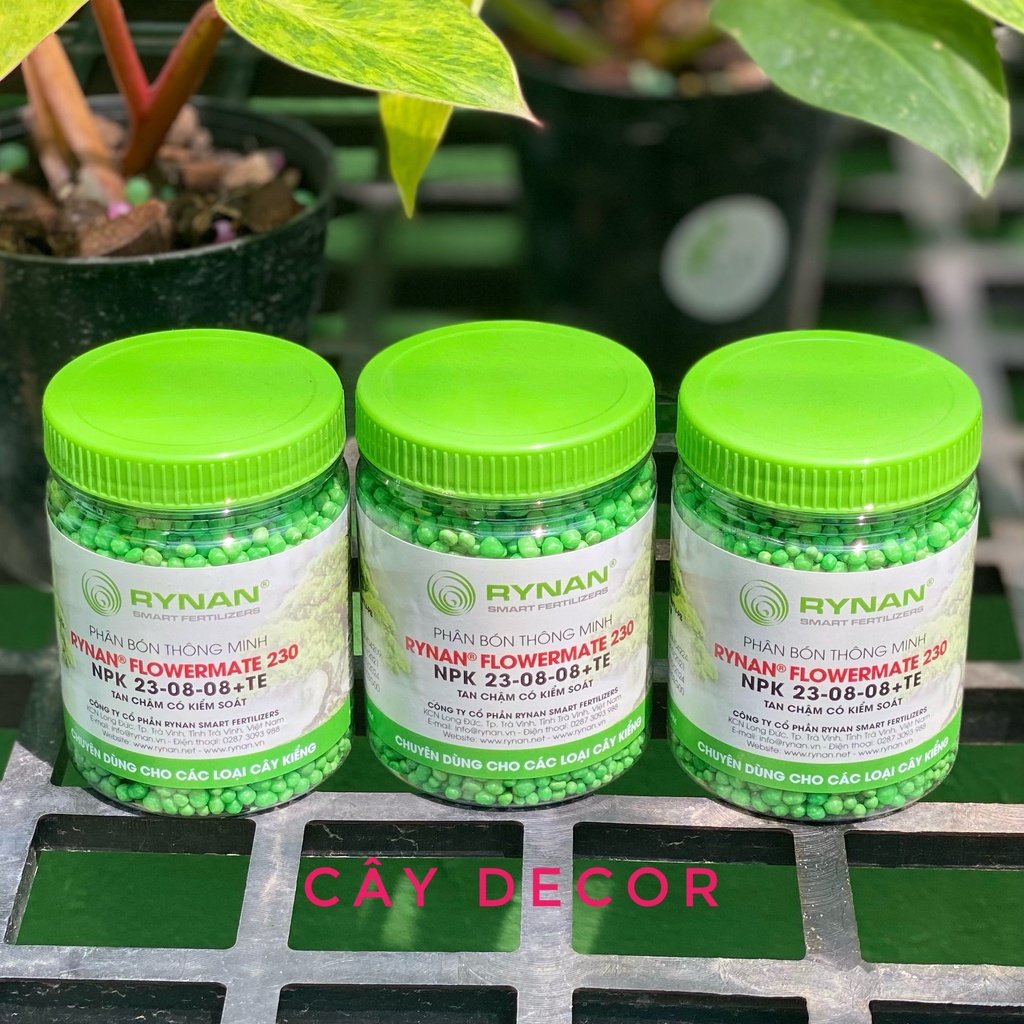 Phân tan chậm cho cây kiểng RYNAN hũ 150g