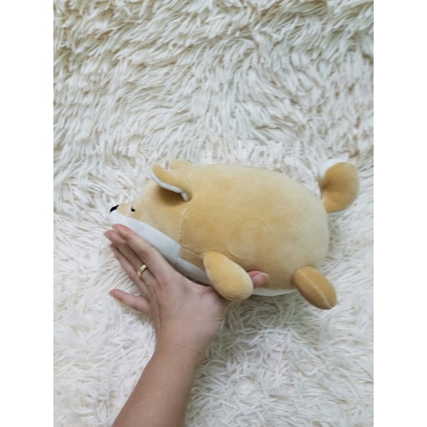 Gấu bông chó Shiba mềm mịn như miniso