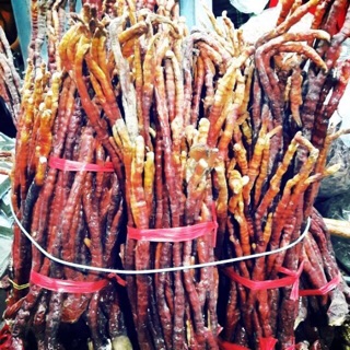 Nấm Linh Chi Sừng Hươu
