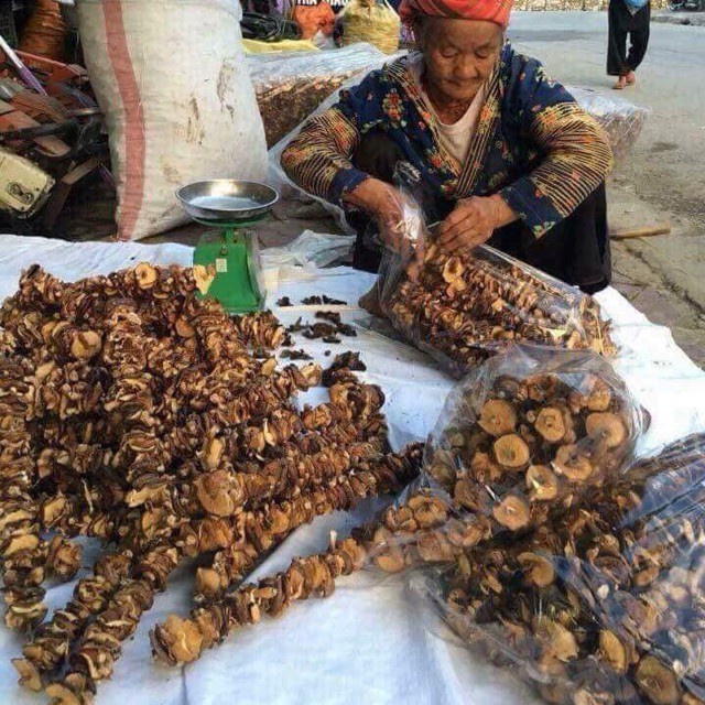 Nấm hương rừng khô Tây Bắc chuẩn 100%
