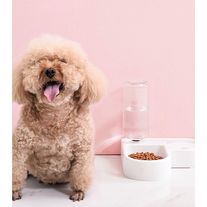 Bát ăn và bình nước tự động 2 trong 1 dành cho Chó Mèo - Bát đựng thức ăn và nước tự động cho thú cưng