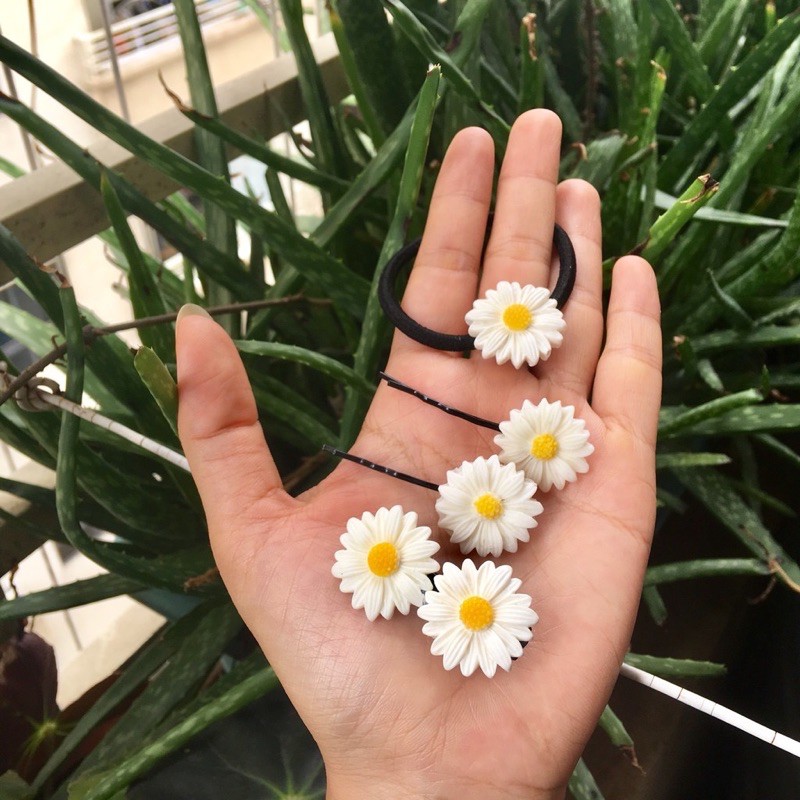 Kẹp tóc cúc hoạ mi, ghim tóc daisy, cột tóc, dây buộc tóc
