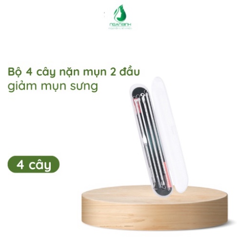 Bộ 4 cây nặn mụn đầu đen chuyên nghiệp trong spa,dụng cụ cây nặn mụn 2 đầu cao cấp A Lá Kids