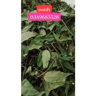 Chè Vằng Sẻ