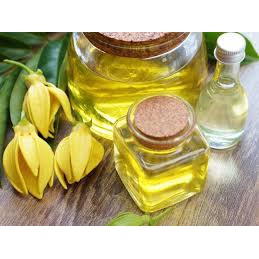 - Tinh Dầu Hoa Mộc Lan Trắng Thiên Nhiên - Nguyên Chất - Không Hương Liệu Tổng Hợp