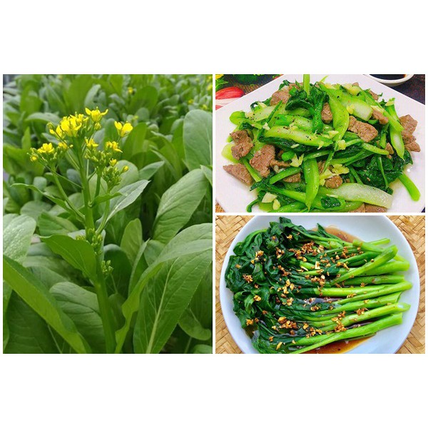 [Seeds] Hạt giống rau cải ngồng, đóng gói 20gr