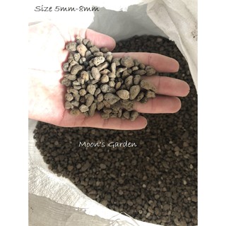 ĐÁ BỌT PUMICE INDONESIA - TRỒNG SEN ĐÁ
