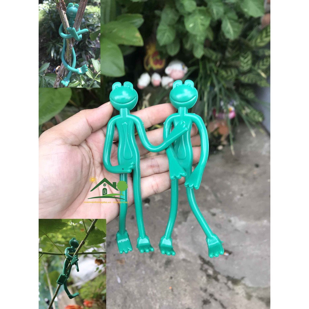 Bộ dụng cụ buộc cố định cành hình ếch xanh ngộ nghĩnh