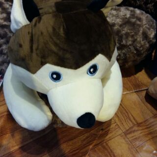 Gấu Chó Husky  (có 2 màu )