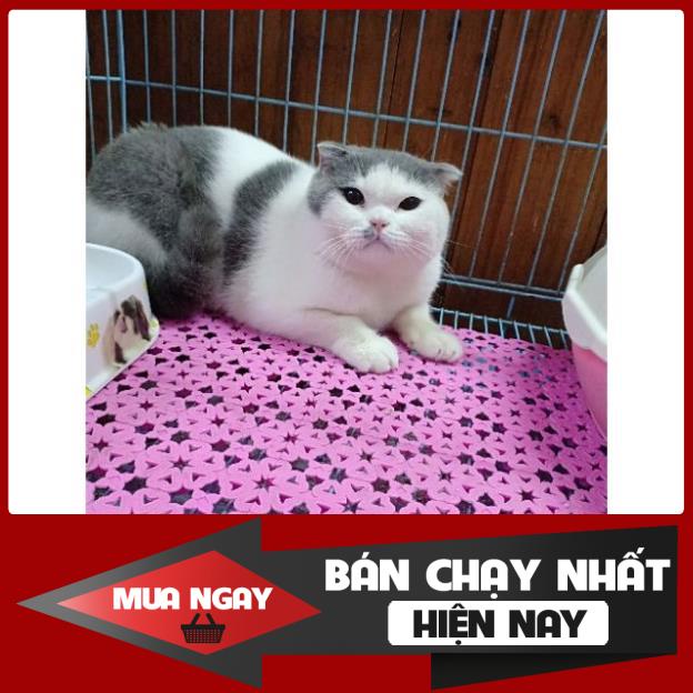 [❌GIÁ SỈ❌] [ RẺ VÔ ĐỊCH ] Thảm nhựa cao cấp chống lọt chân lót chuồng thú cưng ❤️