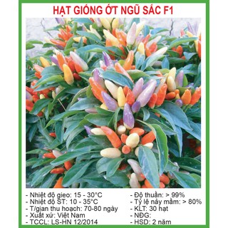 Hạt Giống Ớt Ngũ Sắc 30 Hạt/ Gói