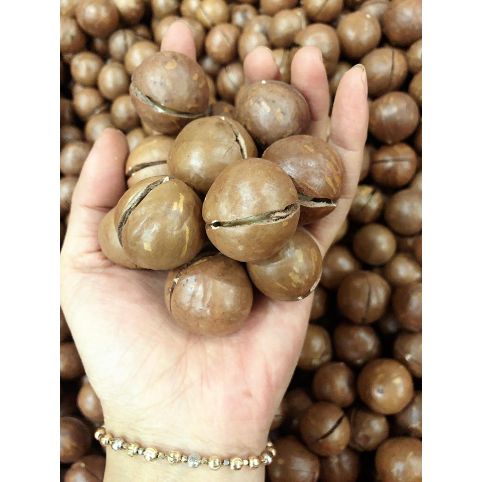 [Mã 154FMCGSALE giảm 8% đơn 500K] 500g Hạt macca dalak loại 1