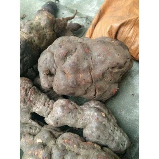 1kg củ hà thủ ô đỏ tươi