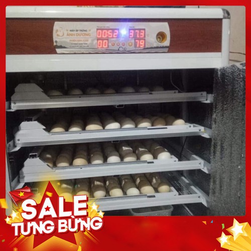 Máy ấp trứng đảo tự động 200 trứng gà -300 trứng bồ câu thùng hợp kim