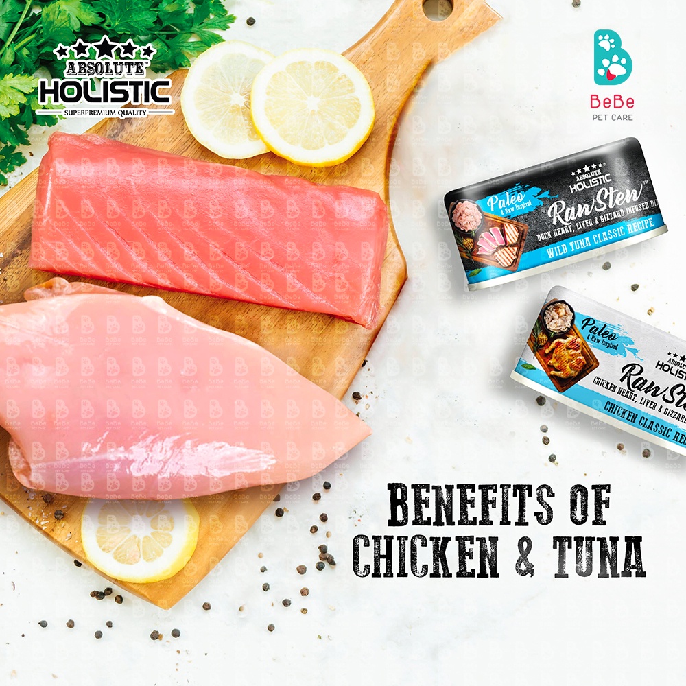 Pate ABSOLUTE HOLISTIC RAW STEW 70Gr Dùng Chung Cho Chó Mèo