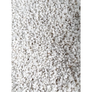 ĐÁ PERLITE( ĐÁ TRÂN CHÂU) GÓI 100g