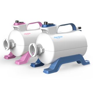 Combo mấy sấy và thuốc nhuộm lông thú cưng