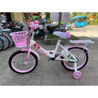 Xe đạp trẻ em jinbao