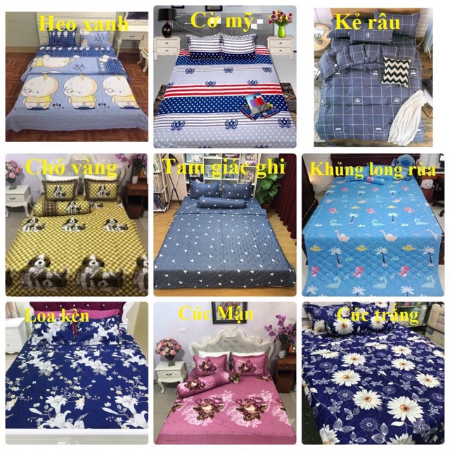 ⚡️[ FREE SHIP ] ⚡️ Set Ga Giường Cotton Poly Mẫu Mới 2021 | BigBuy360 - bigbuy360.vn