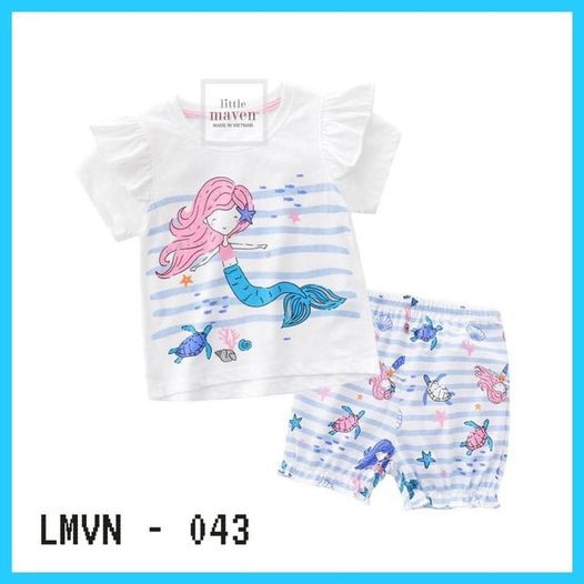 Bộ Litter Maven dư xịn
