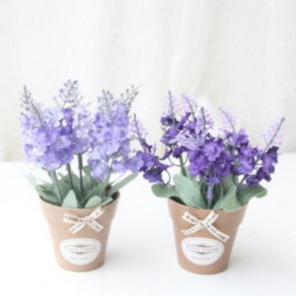 Chậu hoa lavender nhỏ xinh