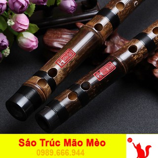 Sáo Dizi Trúc Tím Cao Cấp Bọc Sừng 🎁FREESHIP🎁 Sáo Trúc Mão Mèo Chính Hãng