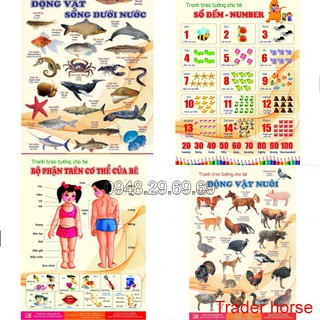 Bộ tranh học cho bé 14 chủ đề - cho trẻ nhận biết sớm