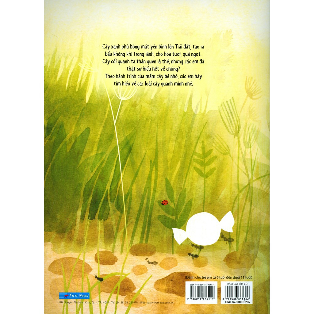 Sách - Mầm Cây Tìm Cội - First News