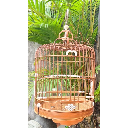 Phù dải lụa xương dành cho lồng chim Khuyên