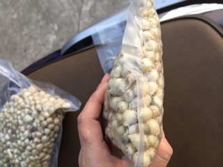 Hành tăm( củ nén)