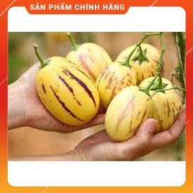 HẠT GIỐNG DƯA HẤU PEPINO GÓI 5 HẠT.