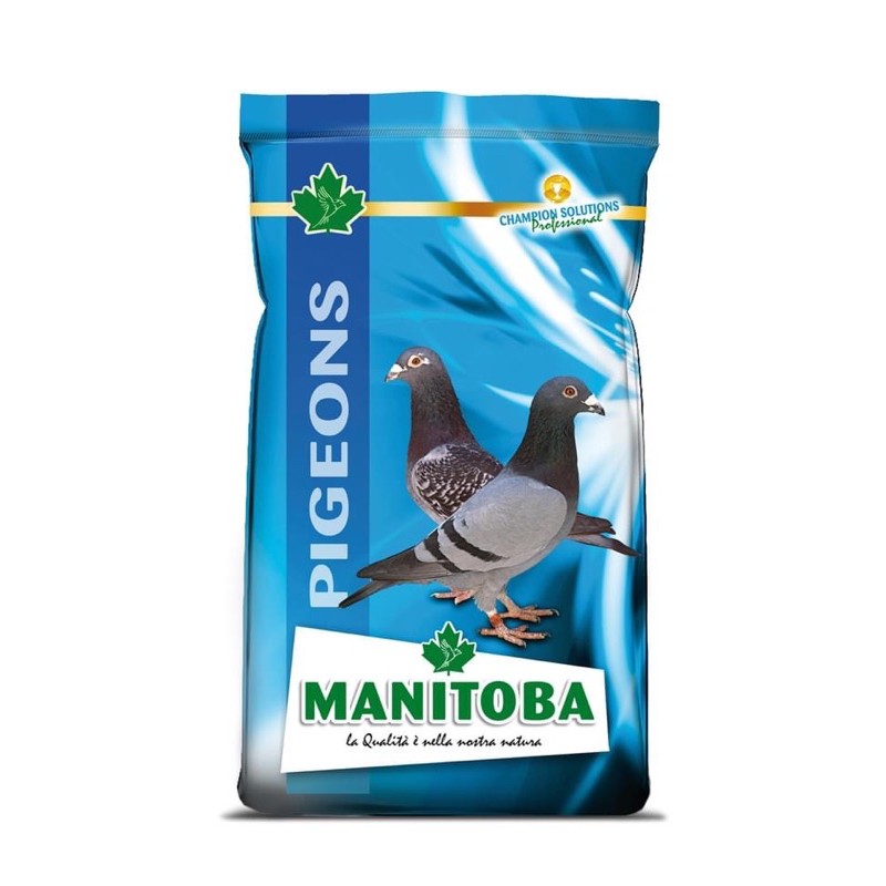 Thức ăn dành cho Bồ Câu đua nuôi sinh sản gói 1kg
