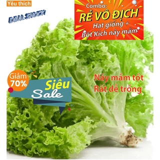 [DEAL SỐC] - Hạt Giống Rau Xà Lách Chịu Nhiệt (50 HẠT) - Dễ Trồng - MUA 3 GÓI TẶNG 1 GÓI - Tặng kích nảy mầm