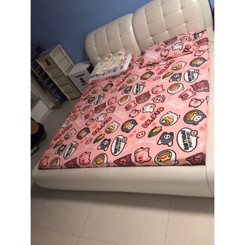 Sét Chăn Ga Kèm Vỏ Gối