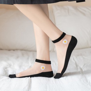 Tất lưới hoa cúc TN26