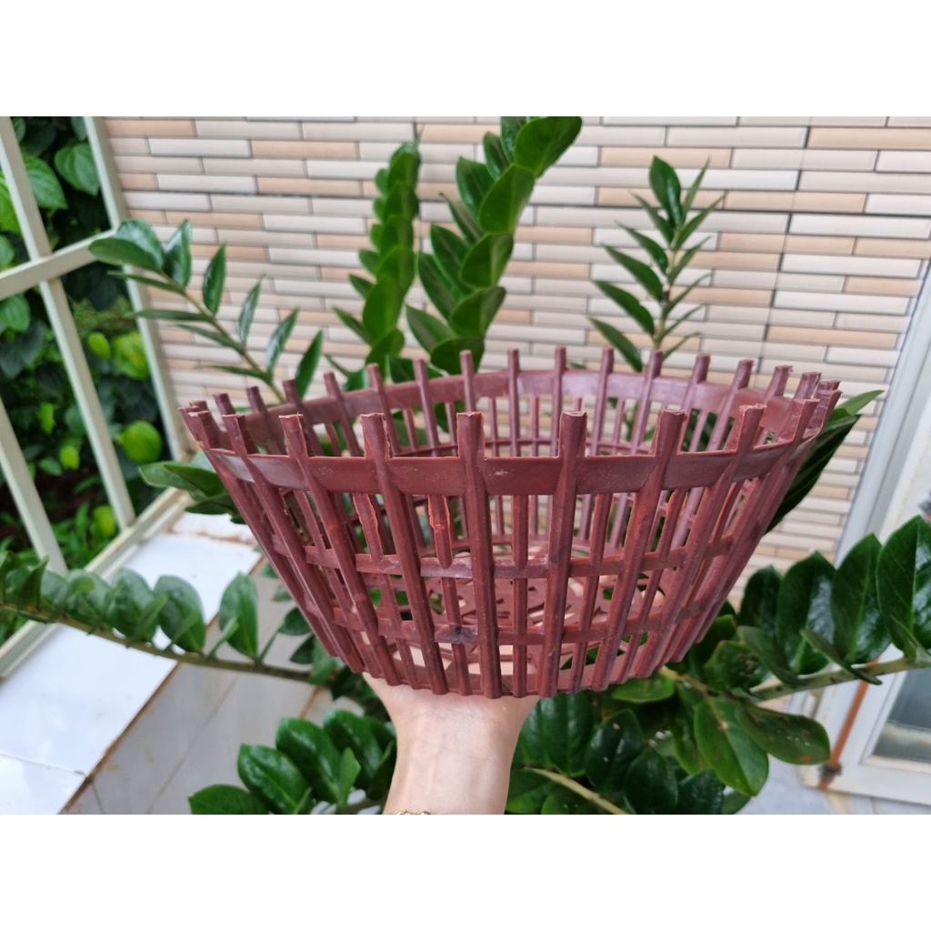 [Siêu Sale] sét 10 chậu nan phụ màu nâu f30 trồng lan hàng loại 1 dày chắc chắn