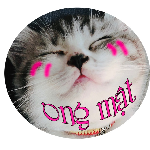 Ong Mật Pet Shop