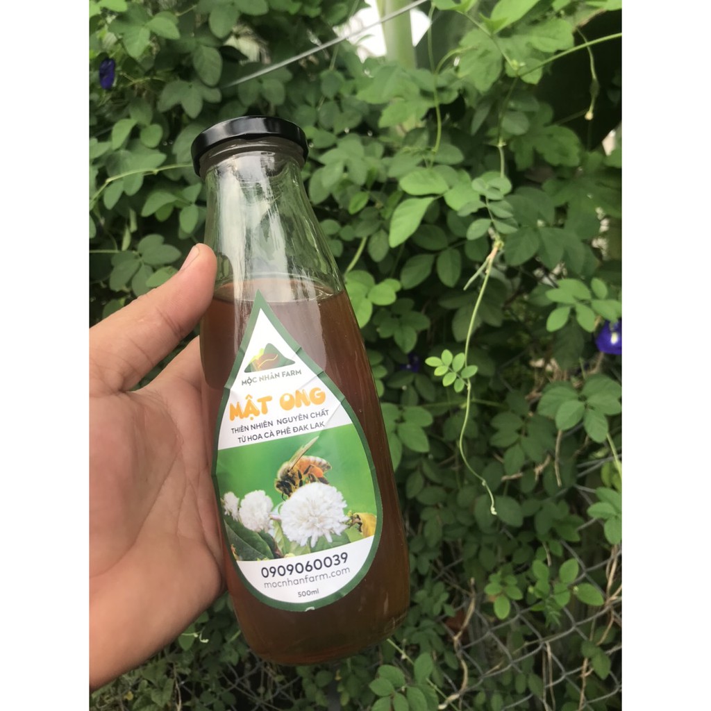 (500 ml) Mật Ong Nguyên Chất Thiên Nhiên Từ Hoa Cà Phê Đăk Lak - Mộc Nhân Farm