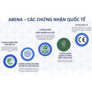 Băng lót sản phụ Abena Materity Pads nhập khẩu Đan Mạch thấm hút lớn - kích thước rộng