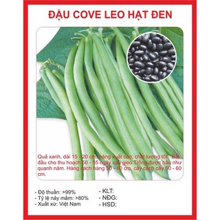 Hạt giống đậu cove leo hạt đen - 50 gr