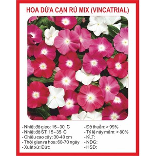 Hạt giống hoa Dừa cạn rủ Mix 100 hạt