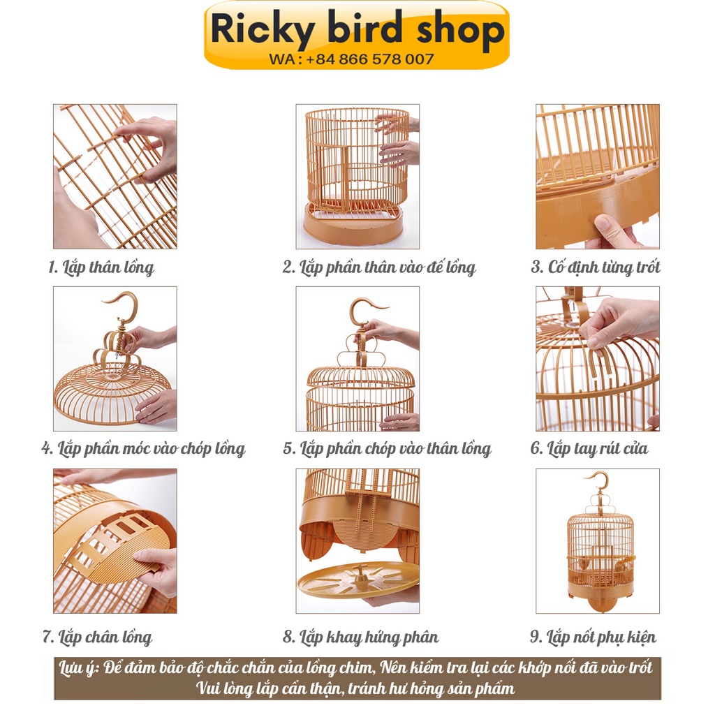 Hwamei, magpie bird cage (Ricky bird shop)