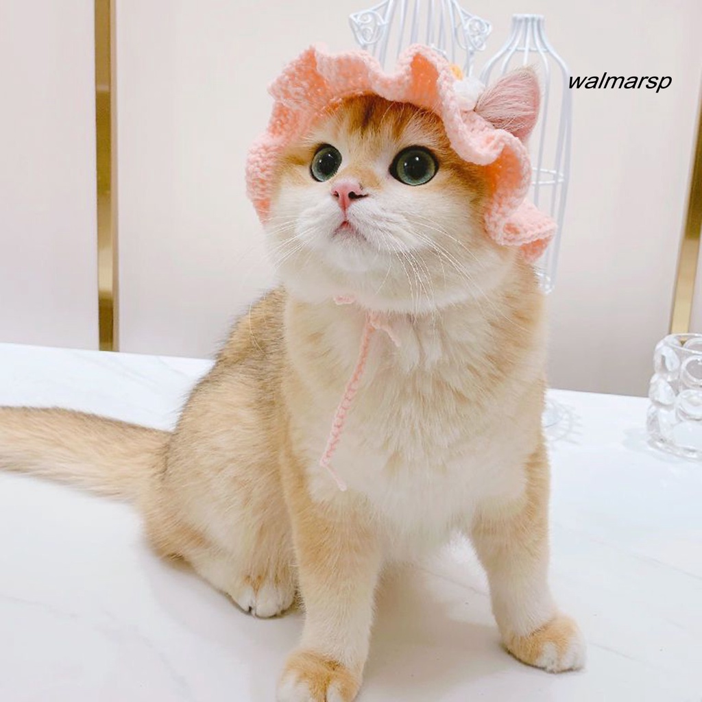 Óc Chó Mũ Dệt Kim Dễ Thương Độ Co Giãn Cao Có Thể Điều Chỉnh Trang Trí Cho Thú Cưng