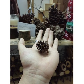 Set trái thông trang trí noel _ set/20 trái