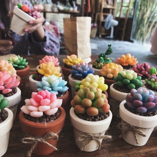 Sen đá Handmade [ĐẤT SÉT NHẬT CAO CẤP] Đẹp - Bền - Giá tốt