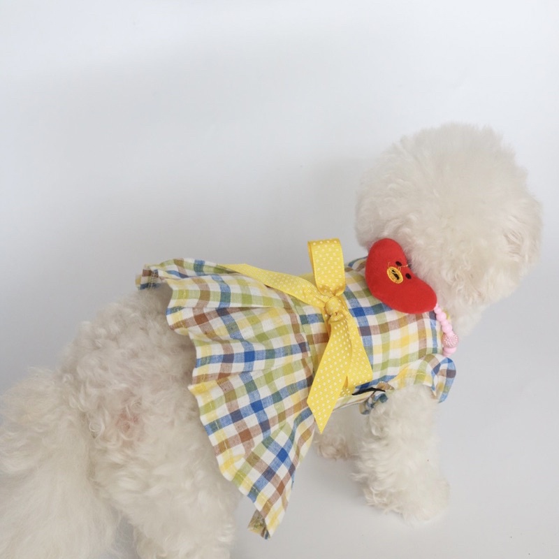 ĐẦM CÔNG CHÚA THÚ CƯNG