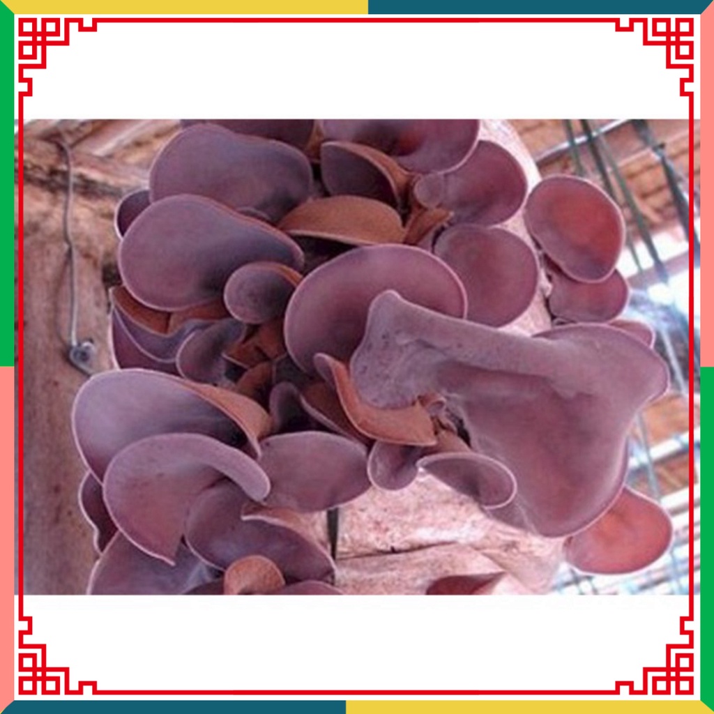 Mọc nhĩ/ mộc nhĩ khô sạch không chân 100g